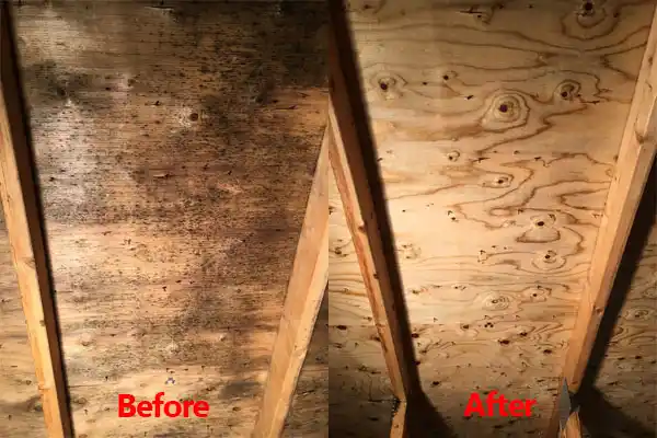 water damage restoration service Foristell